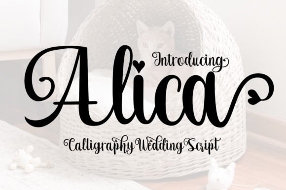 Alica: A Script Font That Balances Classic Elegance with Modern Flow