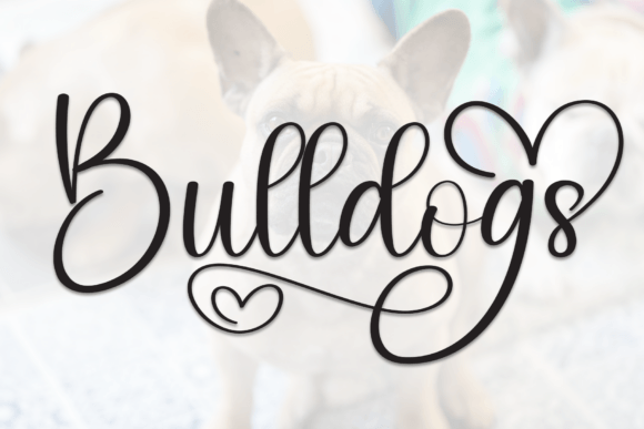 Bulldogs: A Handwritten Script Font for Modern Creatives