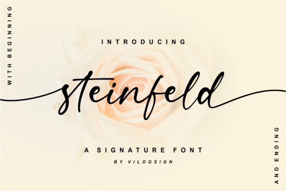 Steinfeld: A Script Font Blending Classic Elegance with Modern Clarity